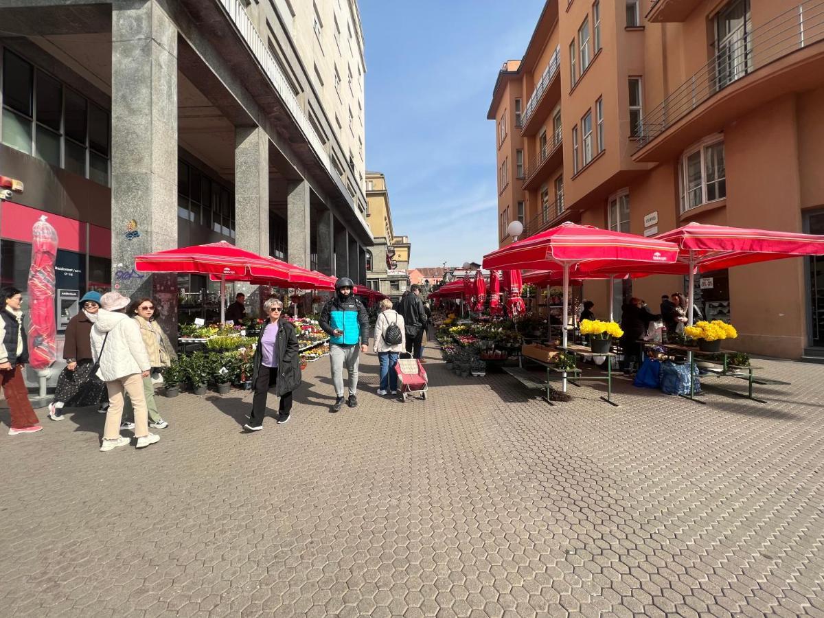 Studio Apartman Luka Zagreb Eksteriør billede